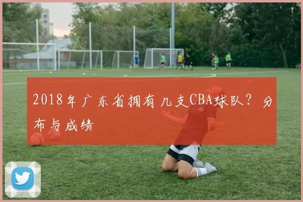 2018年广东省拥有几支CBA球队？分布与成绩