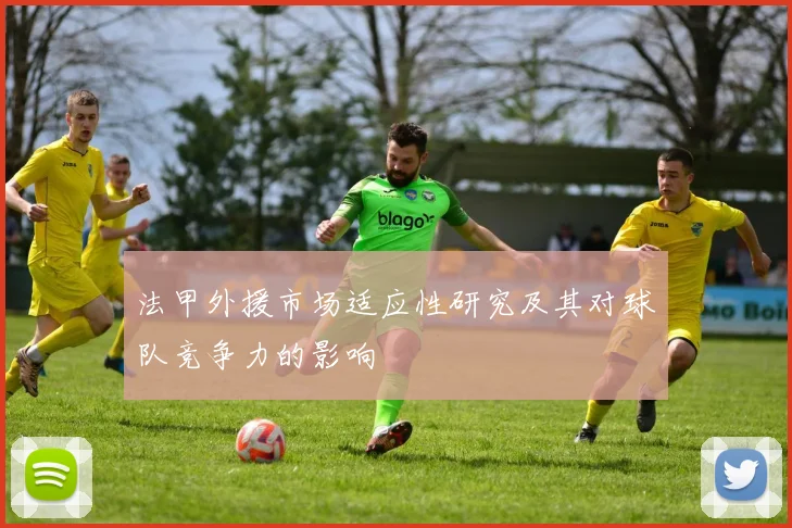 法甲外援市场适应性研究及其对球队竞争力的影响