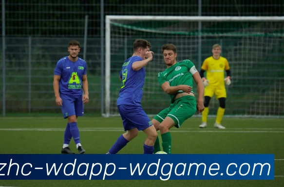 问鼎娱乐平台生态图